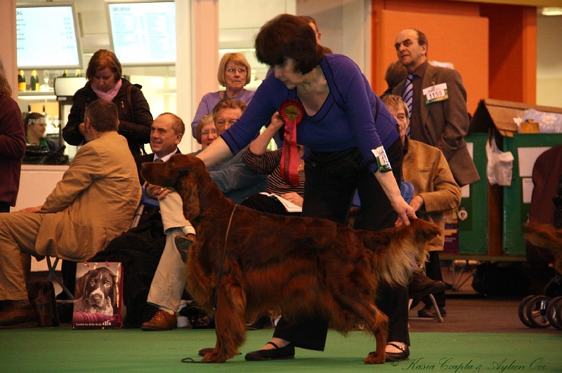 Crufts2011_2 166.jpg